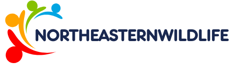 northeasternwildlife